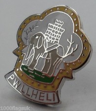 Pwllheli Town Crest Pin Badge