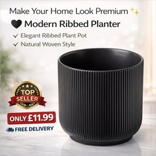 IKEA GRADVIS 12cm Black Plant