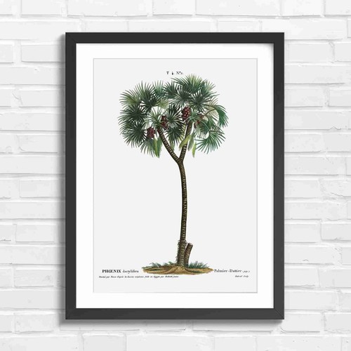 Vintage date palm tree - vintage,