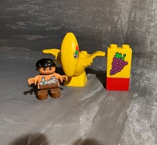 Lego Duplo Zoo Flight Dinosaur