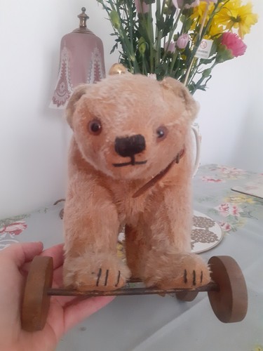 Rare german antique bear on - german?,