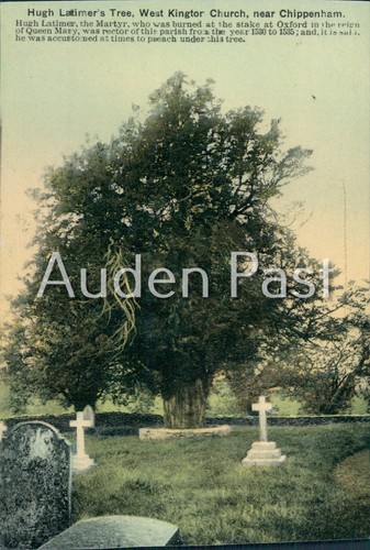 Hugh latimer tree west - hugh,