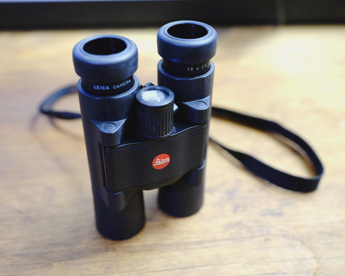 Leica ultravid 10x25