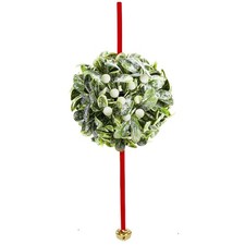 Caciri Mistletoe Kissing Ball