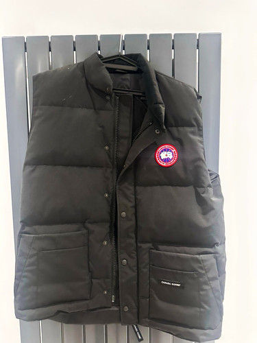 Canada goose arctic program - goose,