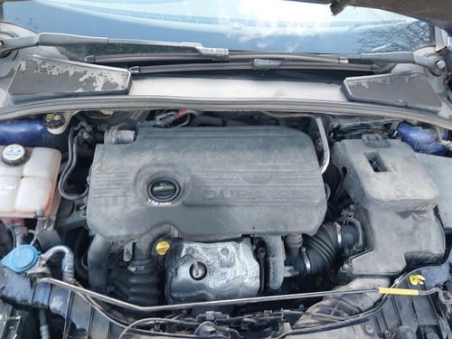 Exhaust particulate filter - exhaust,