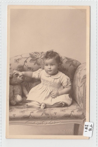 Teddy bear with young - bear,