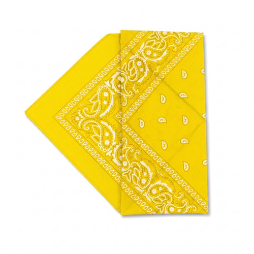 Bandana paisley neck head - neck,