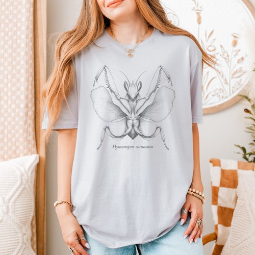 Hymenopus coronatus orchid - hymenopus,