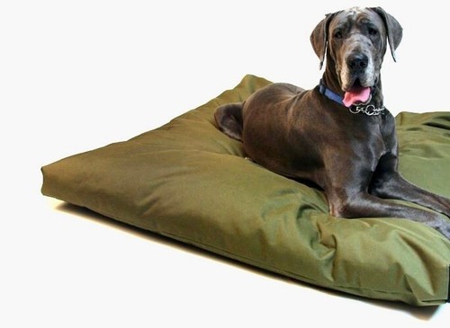 Waterproof dog bed cushion - waterproof,