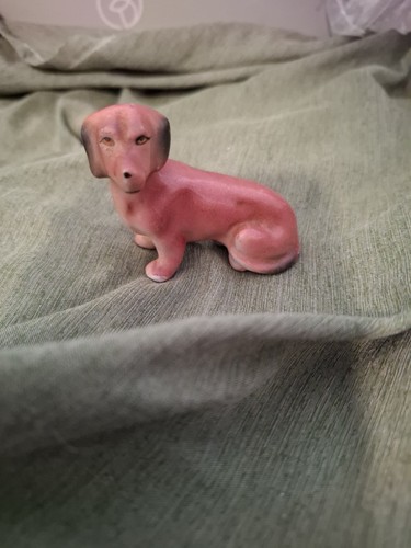 Miniature dachshund - miniature,