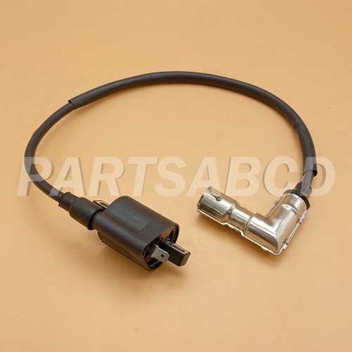 Ignition coil for - for, shineray