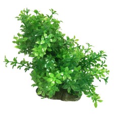 Swell Aquarium Decoration