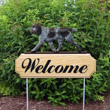 Spinoni Italiano DIG Welcome