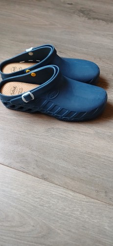 Scholl - dr,