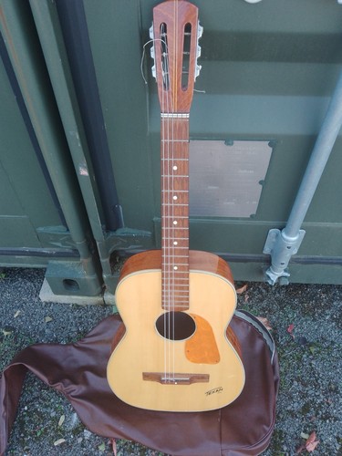 Texan acoustic guitar - acoustic,