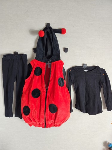 Dream play imagine red ladybug - imagine,