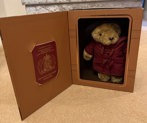 Paddington bear plush - bear, in