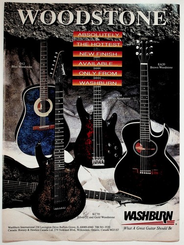 Washburn woodstone guitar - woodstone,