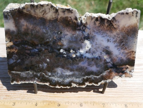 Amethyst sage - amethyst,