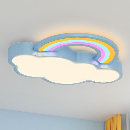 Acrylic ceiling light fixture - acrylic,