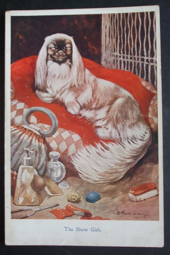 Studdy comic pekingese - e,