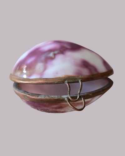 Vintage pink polished shell - polished,