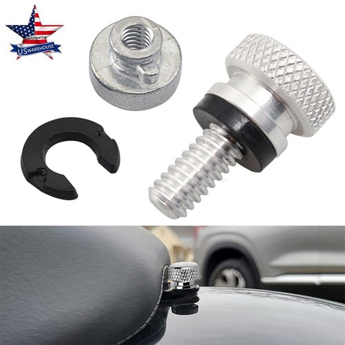 Chrome rear fender seat bolt - seat,