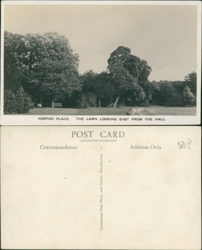 Norton place lawn looking - norton,