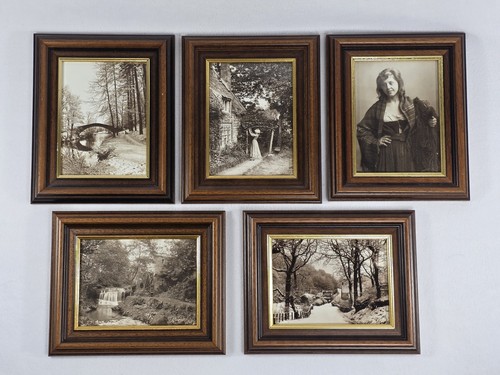 Set frank meadow - 5,