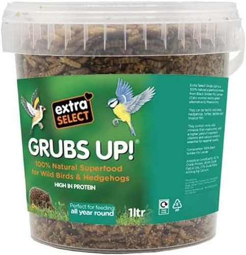 Grubs black soldier - grubs,