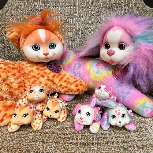 Puppy kitty surprise - puppy, &