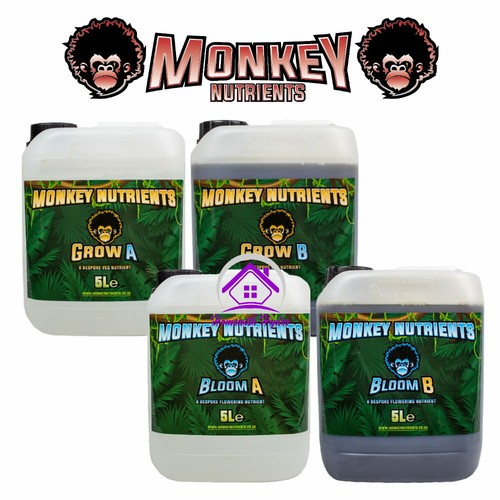 Monkey nutrients grow bloom - monkey,