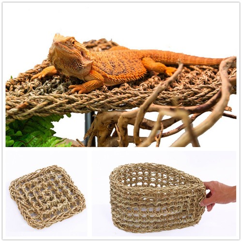 Hammock reptile platform - reptile,