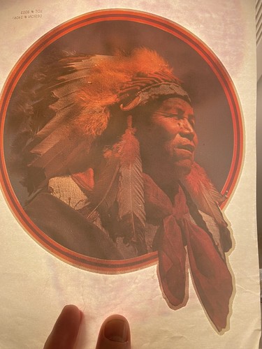 Native american indian chief - indian,