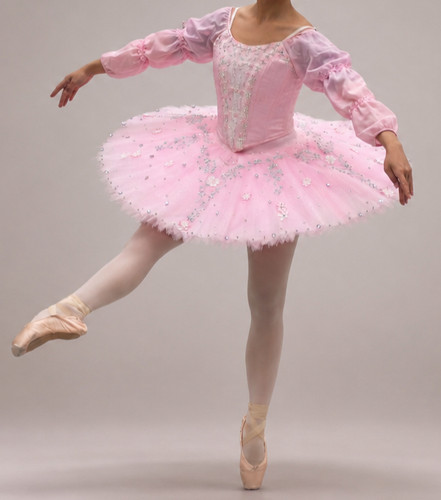 Professional ballet pink tutu - ballet,