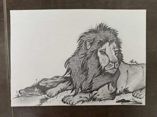 Black white pencil - black,