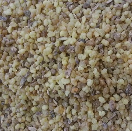 Frankincense resin top - resin, grade