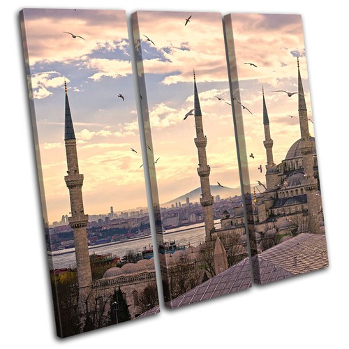 The blue mosque - mosque, turkey