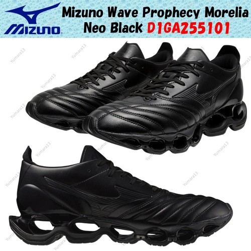 Mizuno wave prophecy - wave,