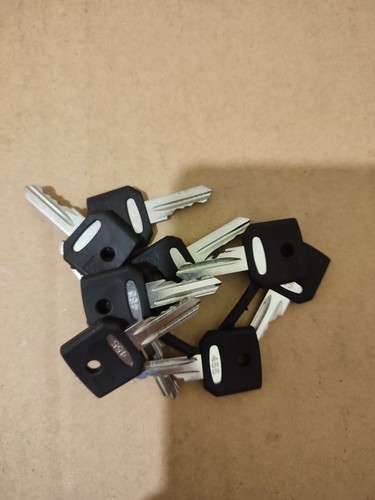 Niftylift 455 set keys - 455, 10