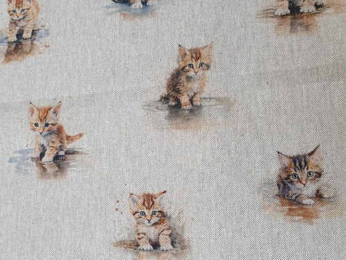 Kitten fabric cotton - kitten, 80%