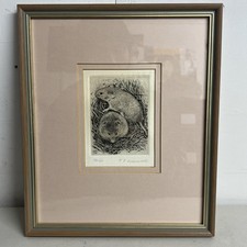 Timothy Greenwood Field Mice