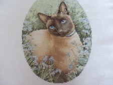 Completed  Cross Stitch