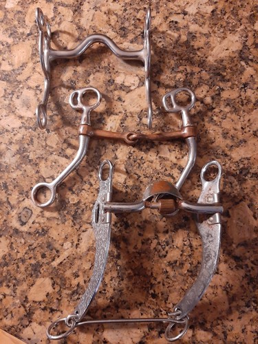 Lot western horse - of, 3