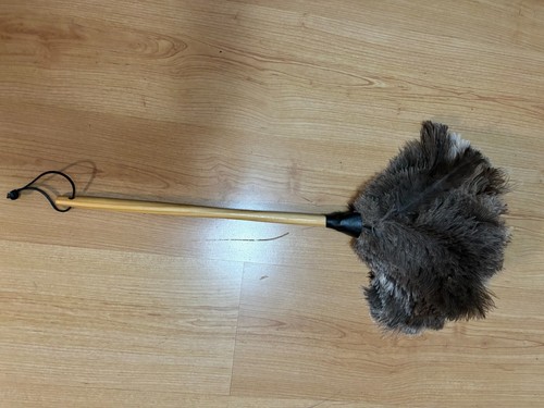 First grade soft ostrich