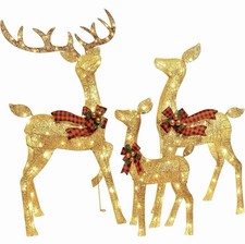 Lighted Christmas Decoration