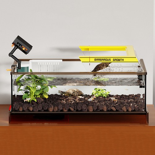 Aquarium terrariums large - terrariums,