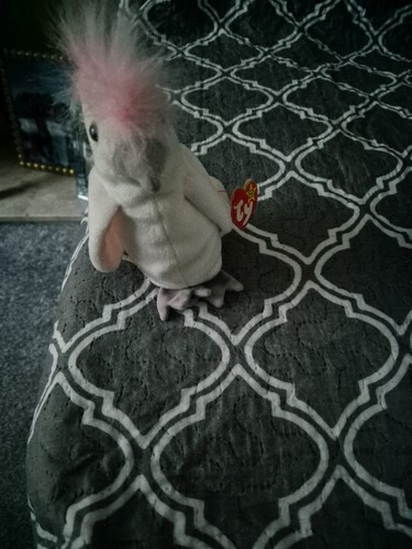 Beanie babies kuku - ty,