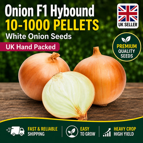 Onion hybound pellets white - onion, f1
